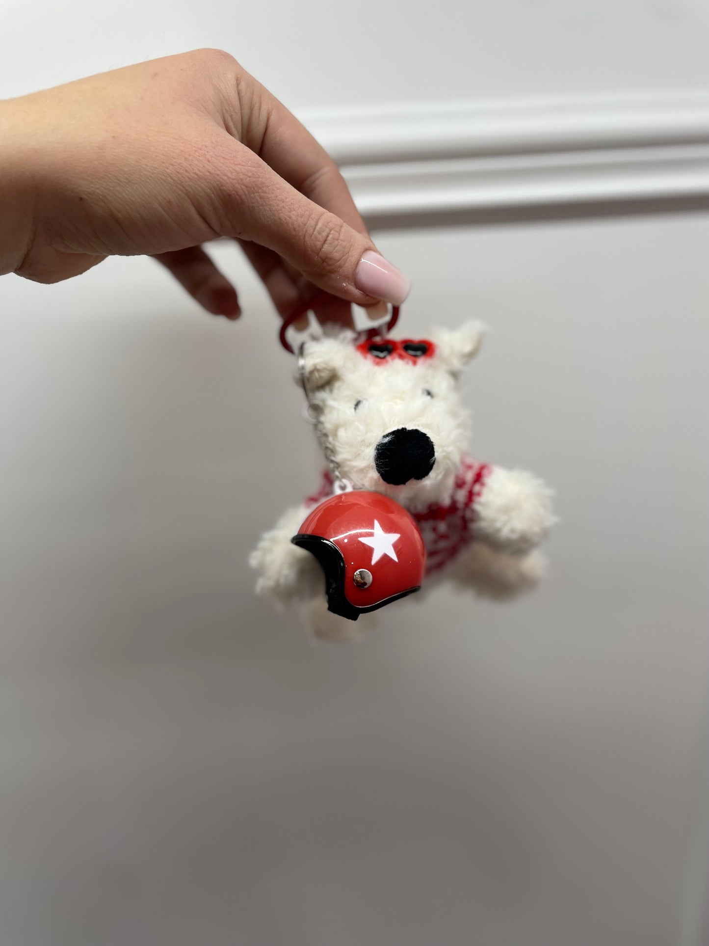 Charms dog red